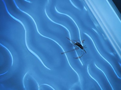 空调加氟哪个位置加（空调加氟哪个位置加最好）