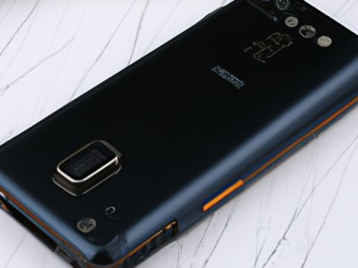 辐射龟：神秘的珊瑚礁居民