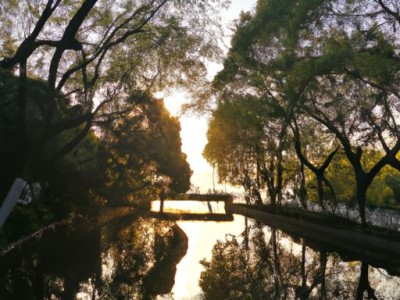 日照和无锡哪个地方好？比较旅游资源、交通便利、美食文化和住宿条件
