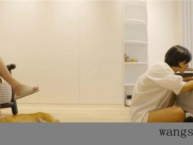 集体户口与家庭户口有什么区别