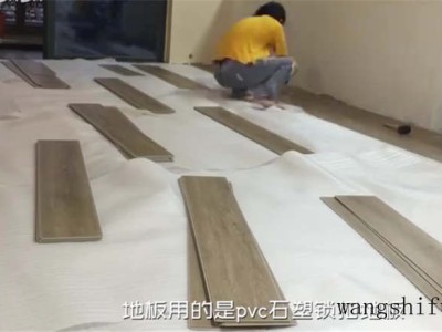 哪个电视最好看了（哪个电视最好看了）