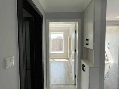 安置房能落户口吗