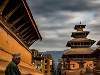 华帝和苏泊尔哪个好用？对比分析解答