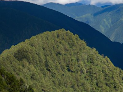 环氧地坪及环氧地坪漆包工包料多少钱一平方