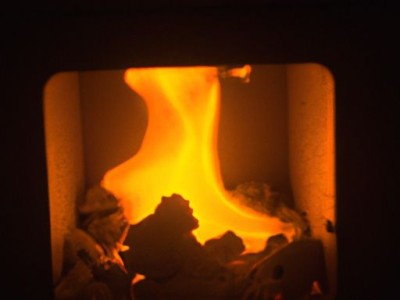 凝脂菊（凝脂菊多肉的养殖方法）