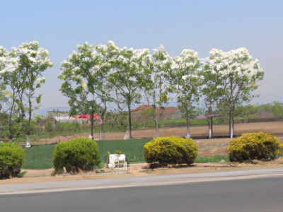 沁春园三村在哪个路上？