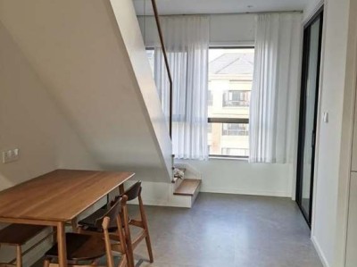 蔷薇（蔷薇花）