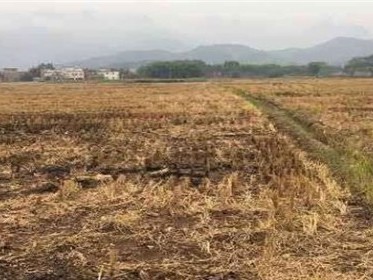 土地流转能改变土地性质吗