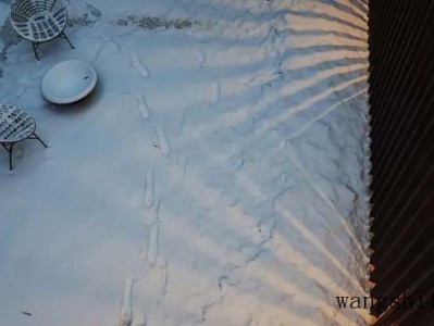 tcl冰箱是哪个厂代工的