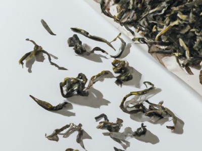 马黛茶的功效与作用