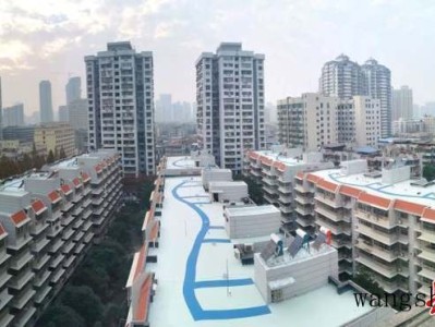 山海带（山海带植物）