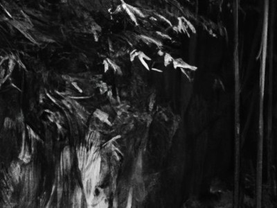 竹席藤席哪个好？如何选择合适的席子？