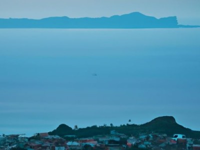 半枝莲（半枝莲的作用与功效）