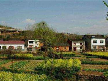 集体土地可以办国有土地吗