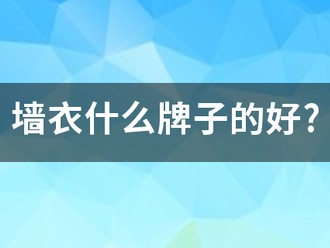 墙衣什么牌子的好?