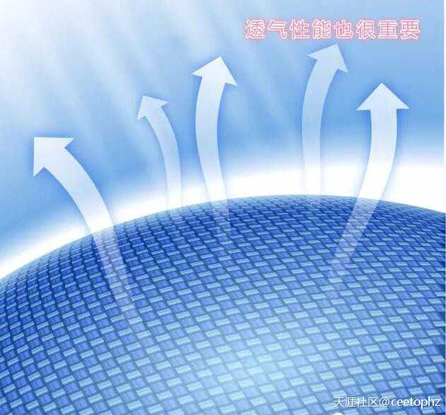 沃莱菲认为:这些壁纸壁布的谣言不可信