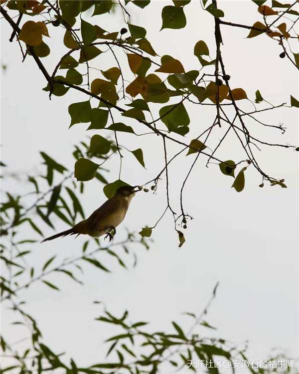 九月，送你一波超美壁纸