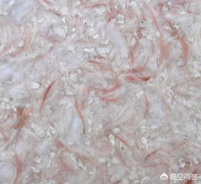 哪些墙衣比较好？