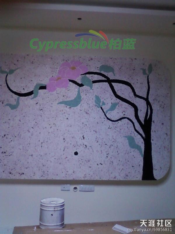 柏蓝多彩生态墙衣，点亮绿色家居生活