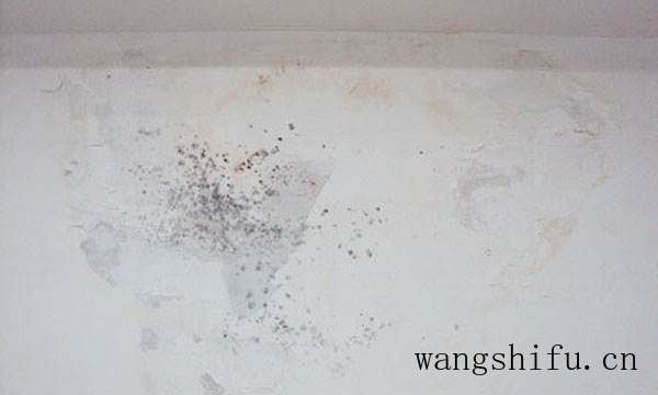 墙面发霉怎么办？原来这么简单（墙面发霉咋办）