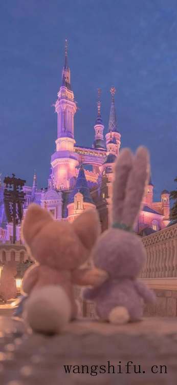 你们一般都在哪里找壁纸？ 墙面贴壁纸 第6张 你们一般都在哪里找壁纸？ 墙面贴壁纸 粉刷匠第6张