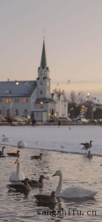 你们一般都在哪里找壁纸？ 墙面贴壁纸 第26张 你们一般都在哪里找壁纸？ 墙面贴壁纸 粉刷匠第26张