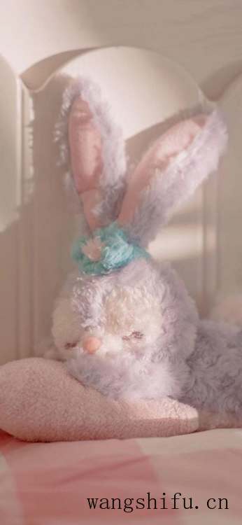 你们一般都在哪里找壁纸？ 墙面贴壁纸 第35张 你们一般都在哪里找壁纸？ 墙面贴壁纸 粉刷匠第35张