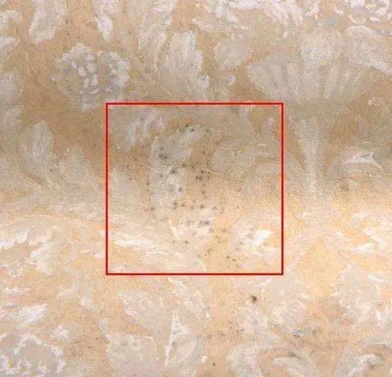 乳胶漆vs壁布怎么选？大多数人都选错了