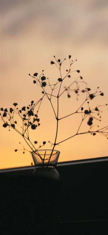 壁纸|小众又治愈的动漫壁纸 壁纸|小众又治愈的动漫壁纸