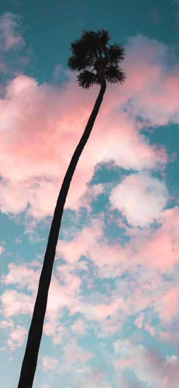 壁纸|小众又治愈的动漫壁纸 壁纸|小众又治愈的动漫壁纸