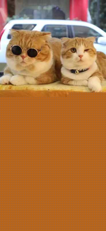 壁纸 | 今天的壁纸过分好看 壁纸 |<img src=