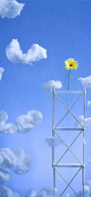 壁纸 | 今天的壁纸过分好看 壁纸 |<img src=