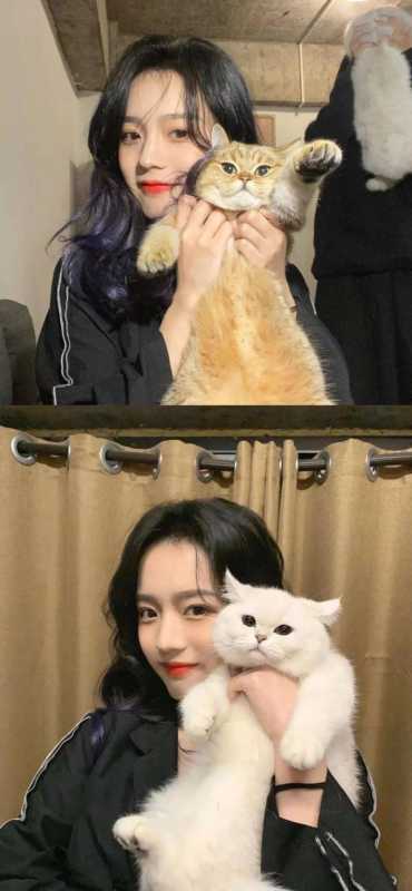 壁纸 | 今天的壁纸过分好看 壁纸 |<img src=