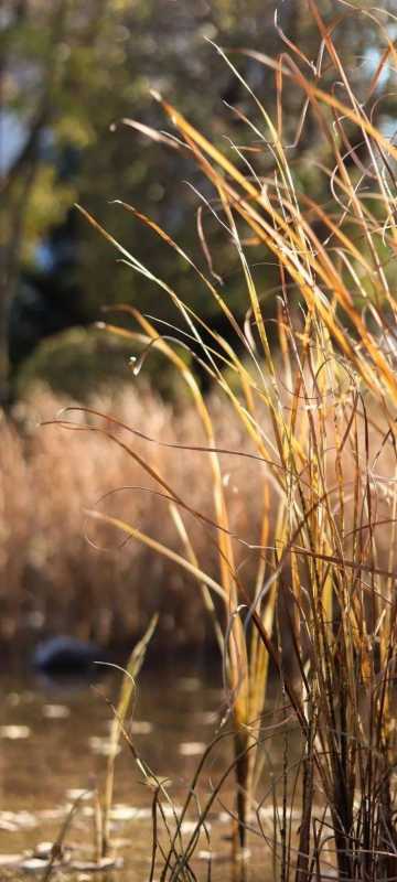 秋日壁纸 |<img src=