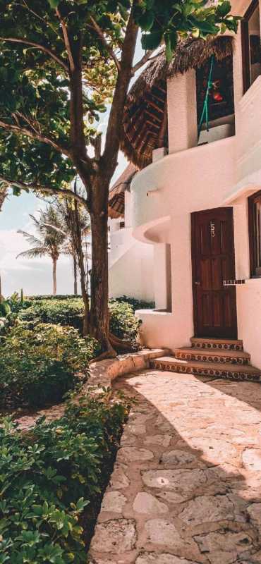 全面屏壁纸 |<img src=