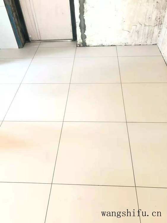 女贞（女贞子的功效与作用）