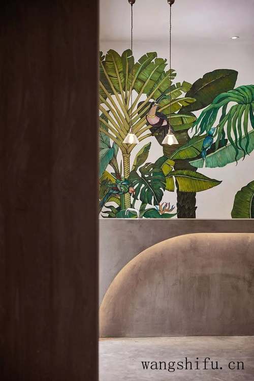 黄杨树和红继木哪个贵（黄杨木和红木哪个好）