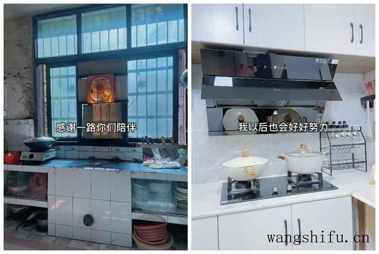 蝴蝶兰（蝴蝶兰的养殖方法和注意事项）