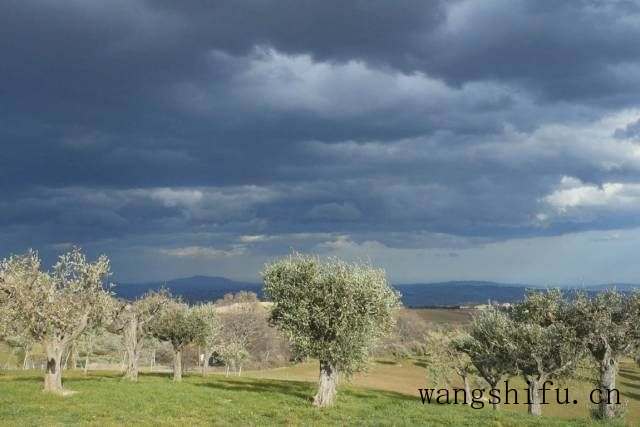 走进这3家意大利民宿,看国外设计师如何玩转旧房改造? 旧房翻新 第2张 走进这3家意大利民宿,看国外设计师如何玩转旧房改造? 旧房翻新 粉刷匠第2张 走进这3家意大利民宿,看国外设计师如何玩转旧房改造? 旧房翻新 第2张 走进这3家意大利民宿,看国外设计师如何玩转旧房改造? 旧房翻新 粉刷匠第2张