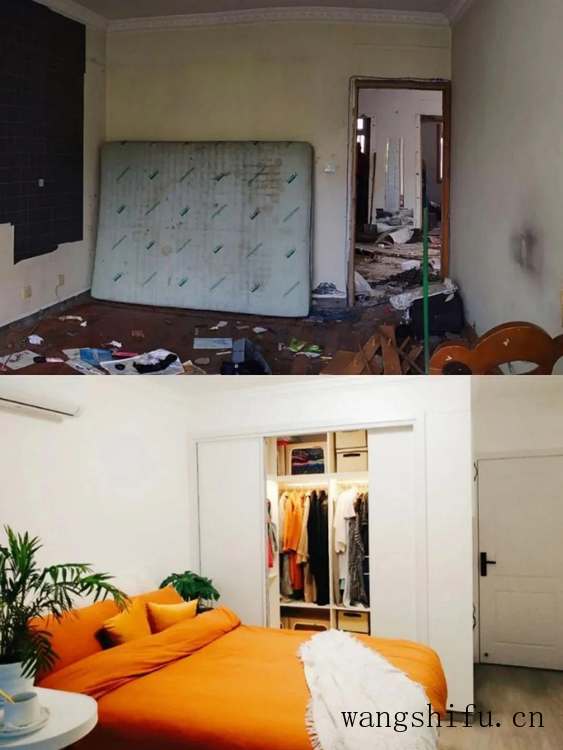 荷包花（荷包花图片）