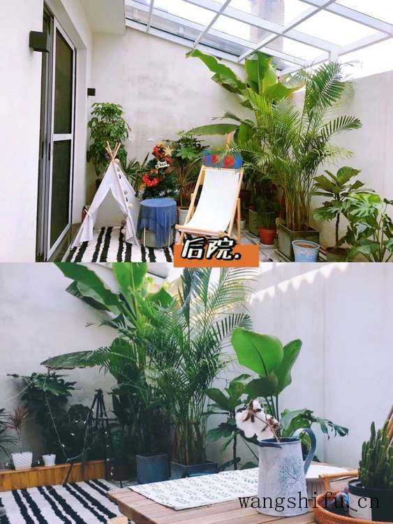 索尼电视和海信哪个贵（索尼电视和海信哪个贵一点）