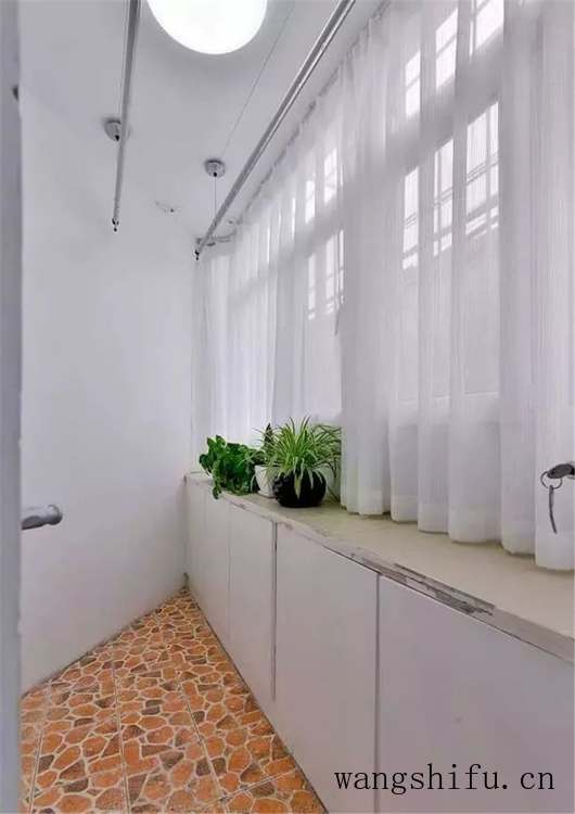 贵妇人犬（贵妇人犬图片头像）