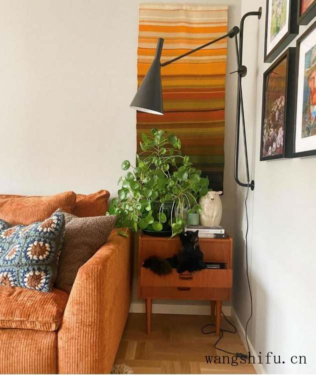 瑞典女主的老房改造，只有旧家具和绿植装饰，网友：真的服了 旧房翻新 第5张 瑞典女主的老房改造，只有旧家具和绿植装饰，网友：真的服了 旧房翻新 粉刷匠第5张