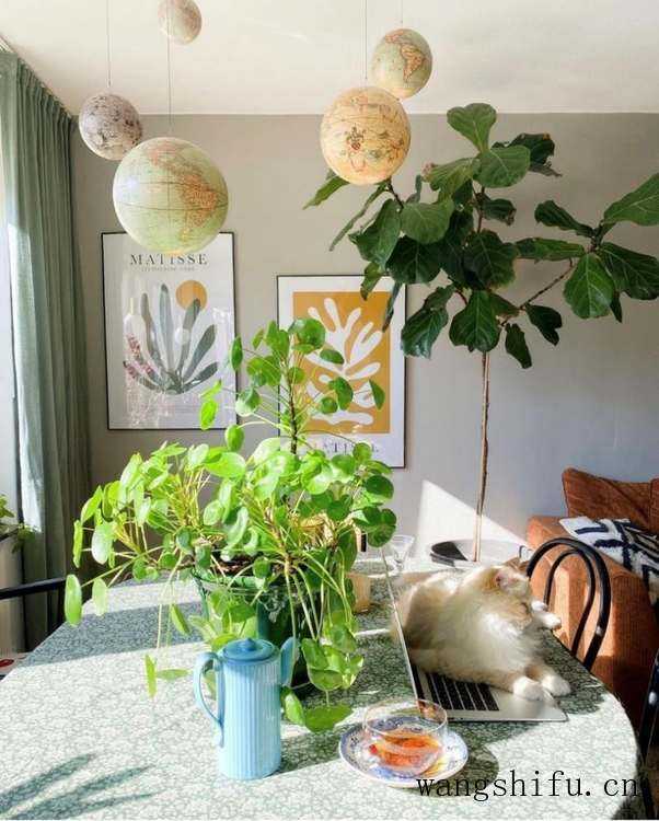瑞典女主的老房改造，只有旧家具和绿植装饰，网友：真的服了 旧房翻新 第7张 瑞典女主的老房改造，只有旧家具和绿植装饰，网友：真的服了 旧房翻新 粉刷匠第7张