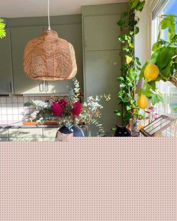 如何选购防水涂料？