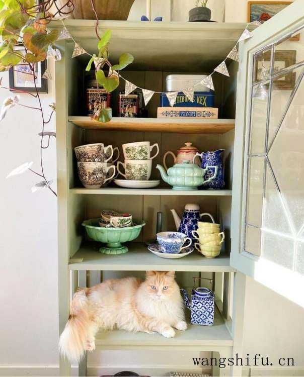 预防孩子甲醛中毒 墙面涂料要选好