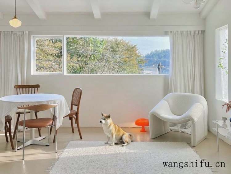 玄关柜（玄关柜效果图大全2022款）