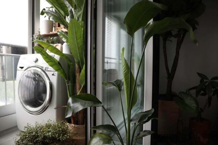 这家23年旧房改造花2万，搬空旧家具，84平一进门温馨到让人羡慕 旧房翻新 第10张 这家23年旧房改造花2万，搬空旧家具，84平一进门温馨到让人羡慕 旧房翻新 粉刷匠第10张