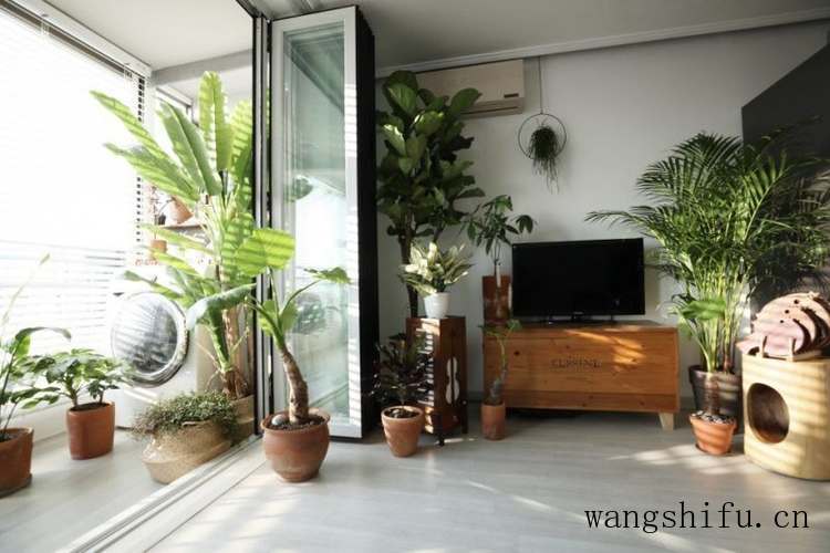 这家23年旧房改造花2万，搬空旧家具，84平一进门温馨到让人羡慕 旧房翻新 第17张 这家23年旧房改造花2万，搬空旧家具，84平一进门温馨到让人羡慕 旧房翻新 粉刷匠第17张