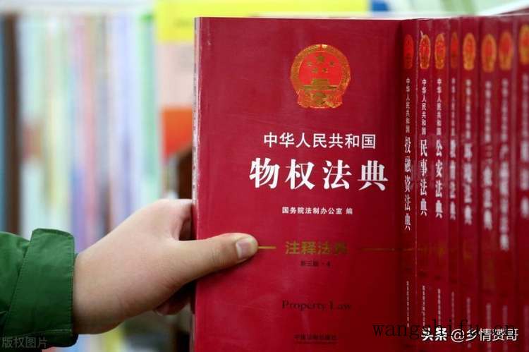 地涌金莲（地涌金莲为什么不能随便养）